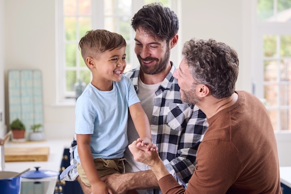 Trusted Family Law Services in Knoxville Guidance and Support with Lisa Collins Werner