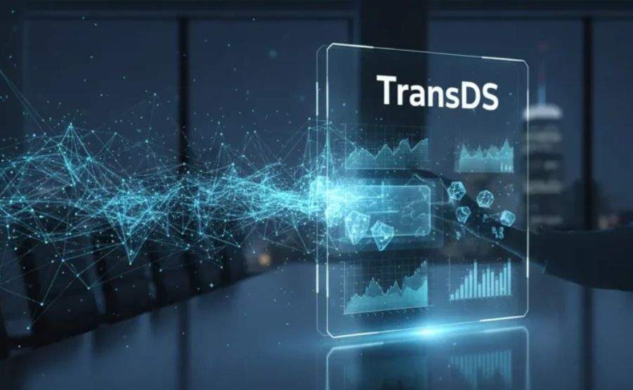 Transds: The Complete, Honest Guide to What This Term Actually Means